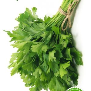 بذر جعفری