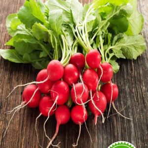 بذر تربچه نقلی (آلبالویی)