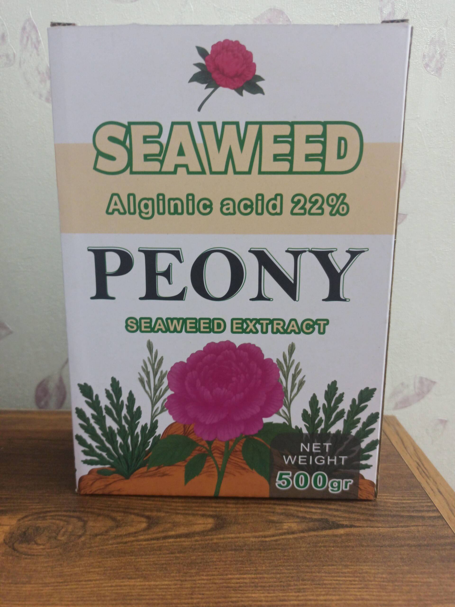 chatgpt-1761069399762